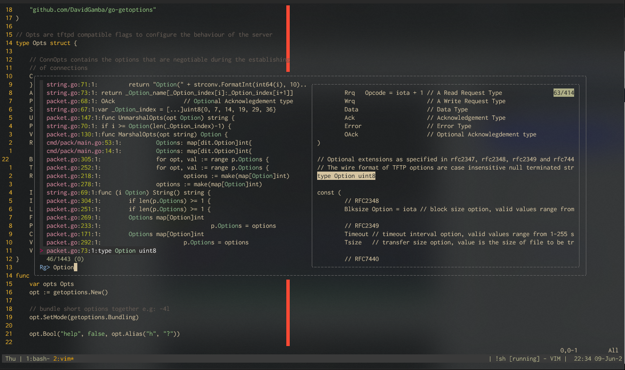 vim text editor in a terminal